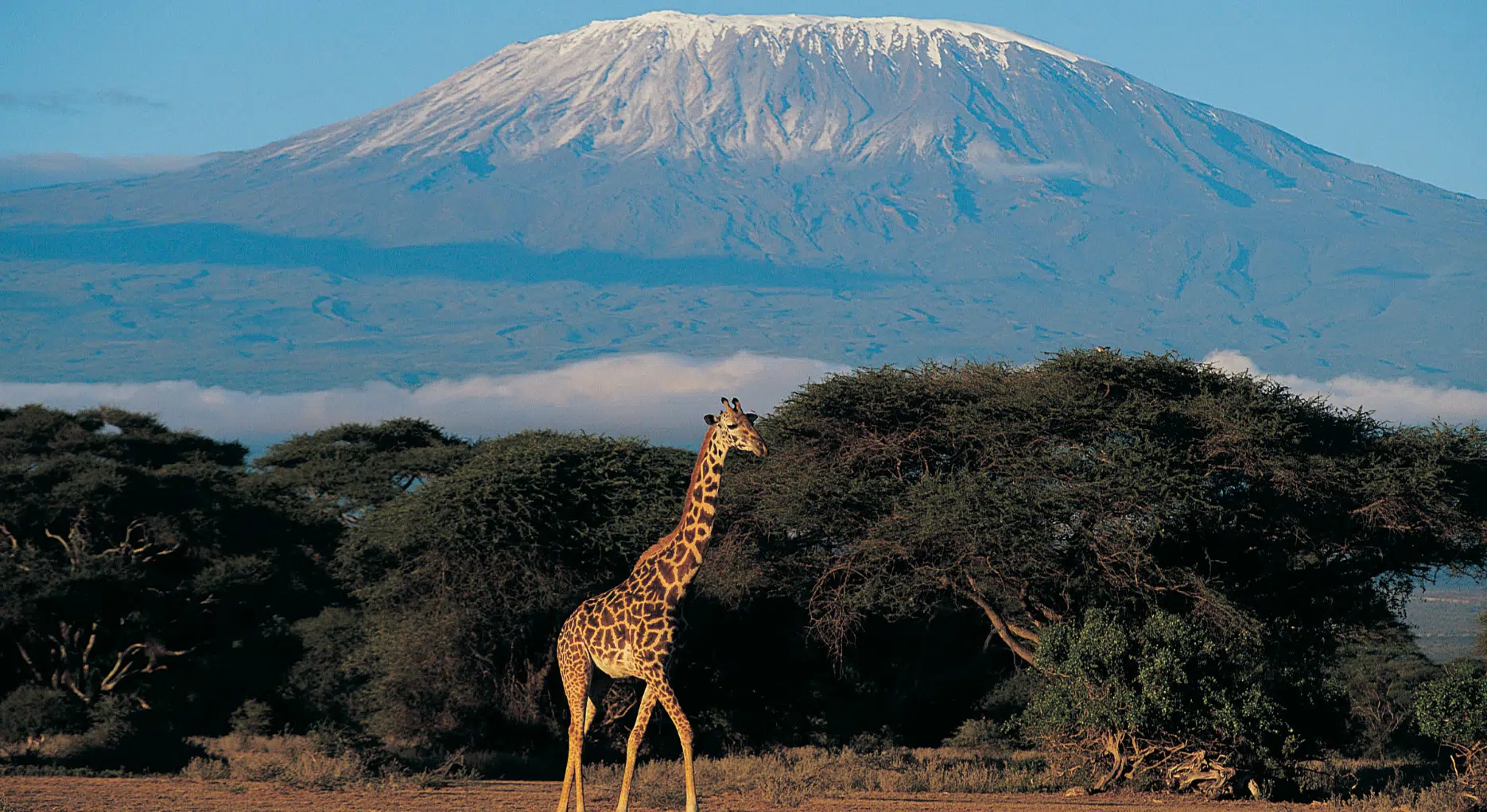 Why Kenya Is Perfect for a Luxury Honeymoon