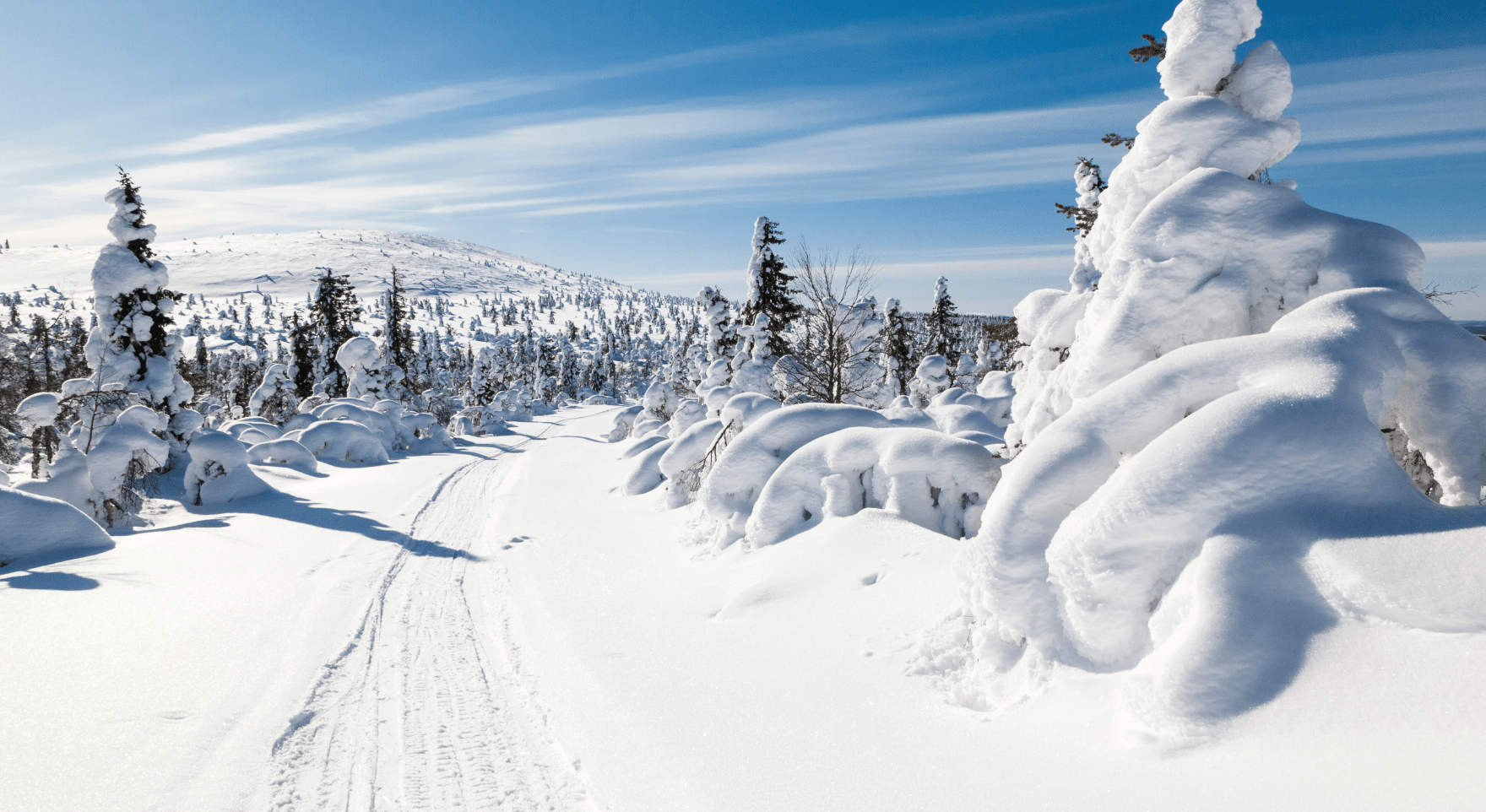 Why Finland