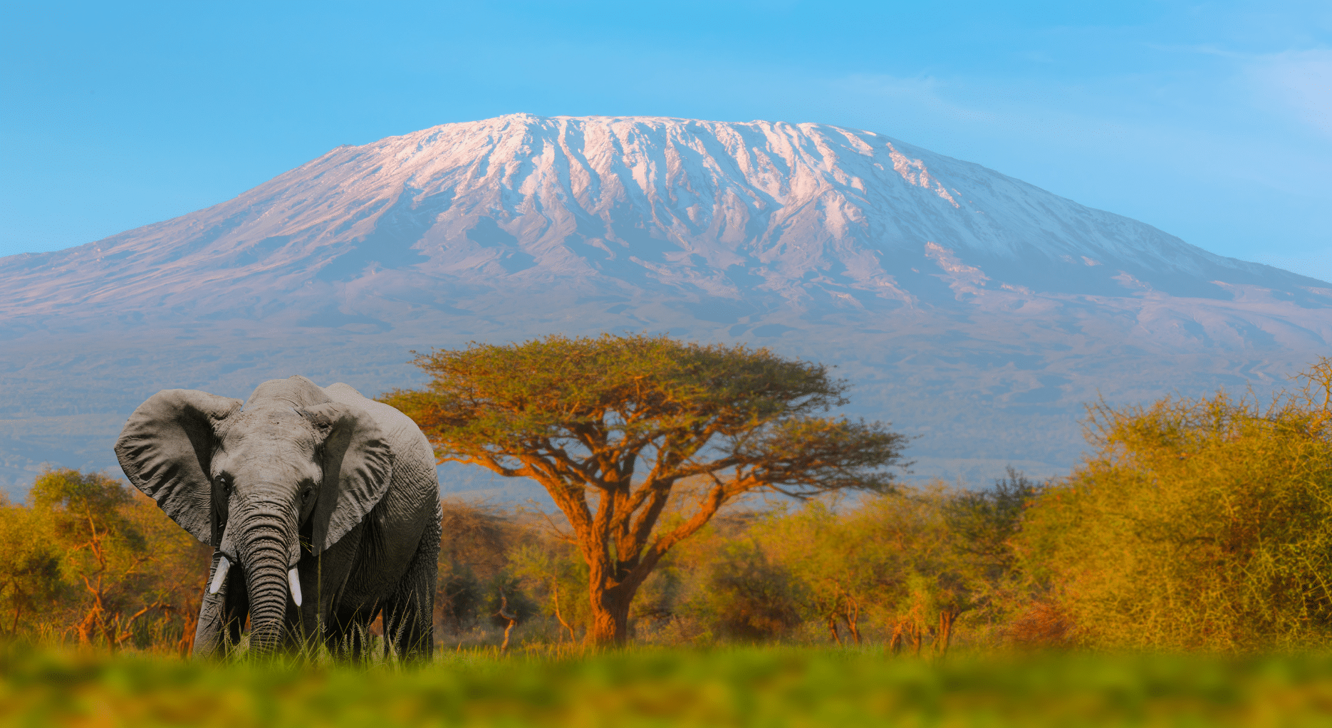 Tanzania