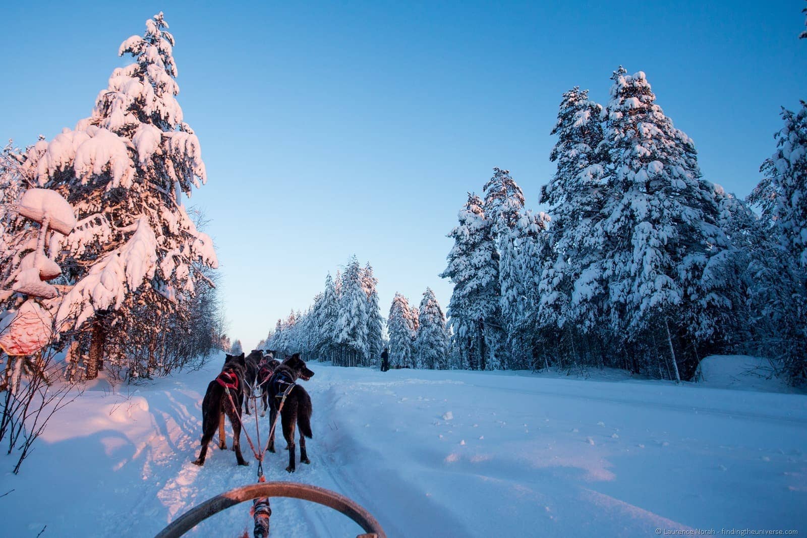 Husky Sledding Through Lapland
