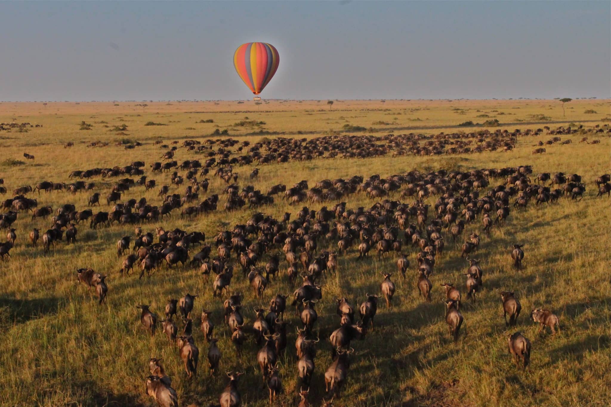 Why Luxury Kenya Safari: Northern Frontier to the Indian Ocean