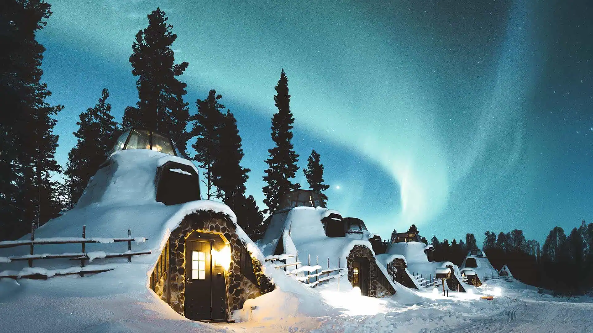 Seasonality, Darkness, and the Polar Night