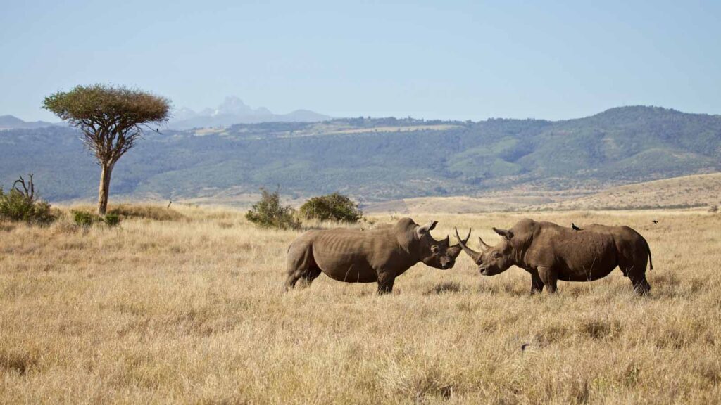 Laikipia