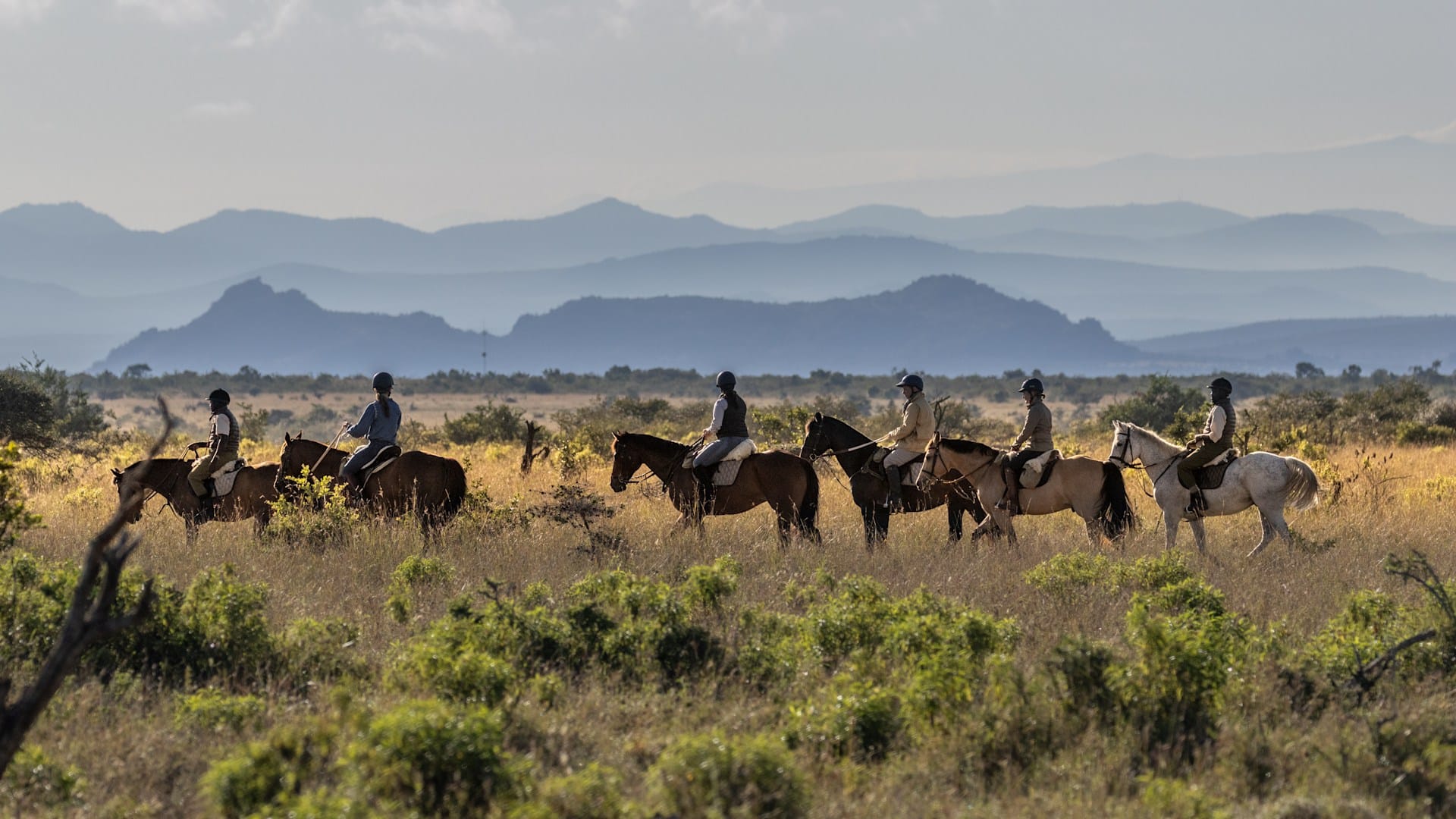 Activities That Extend Beyond the Vehicle