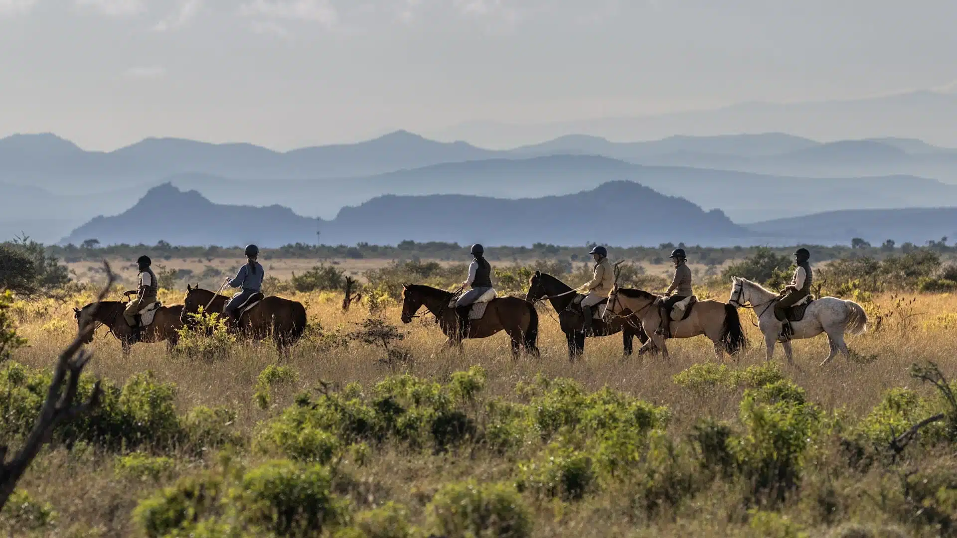 Activities That Extend Beyond the Vehicle