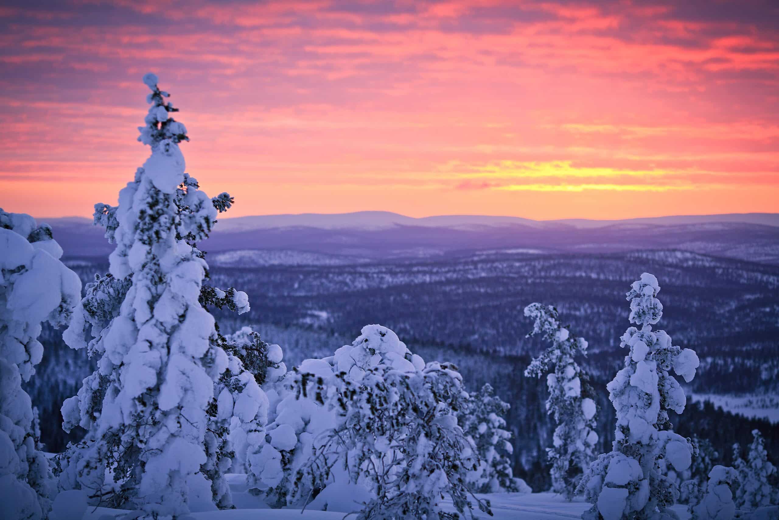 Day 5: Arrival in Lapland