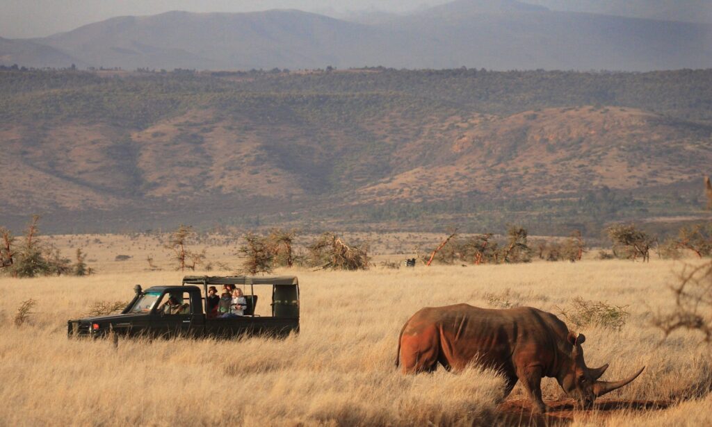 Lewa Wilderness