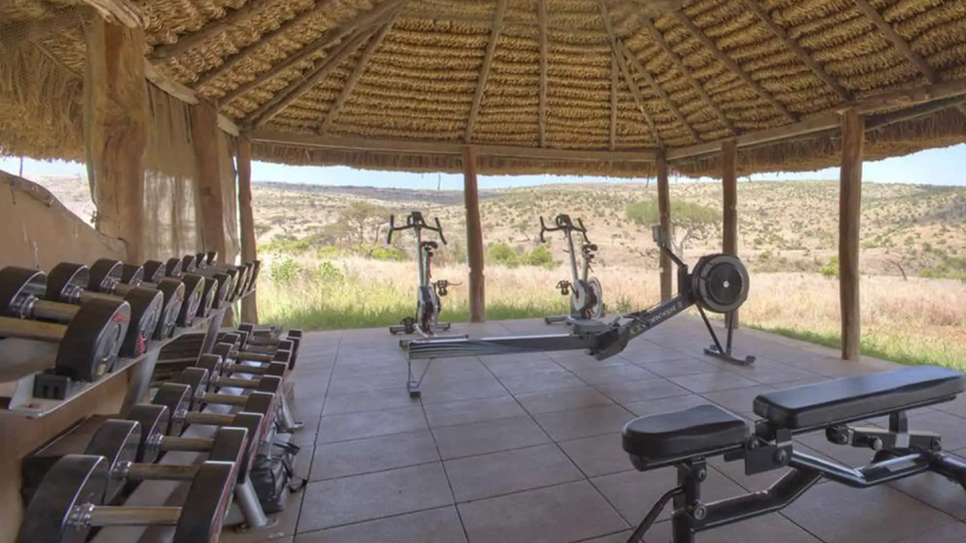 Wellness