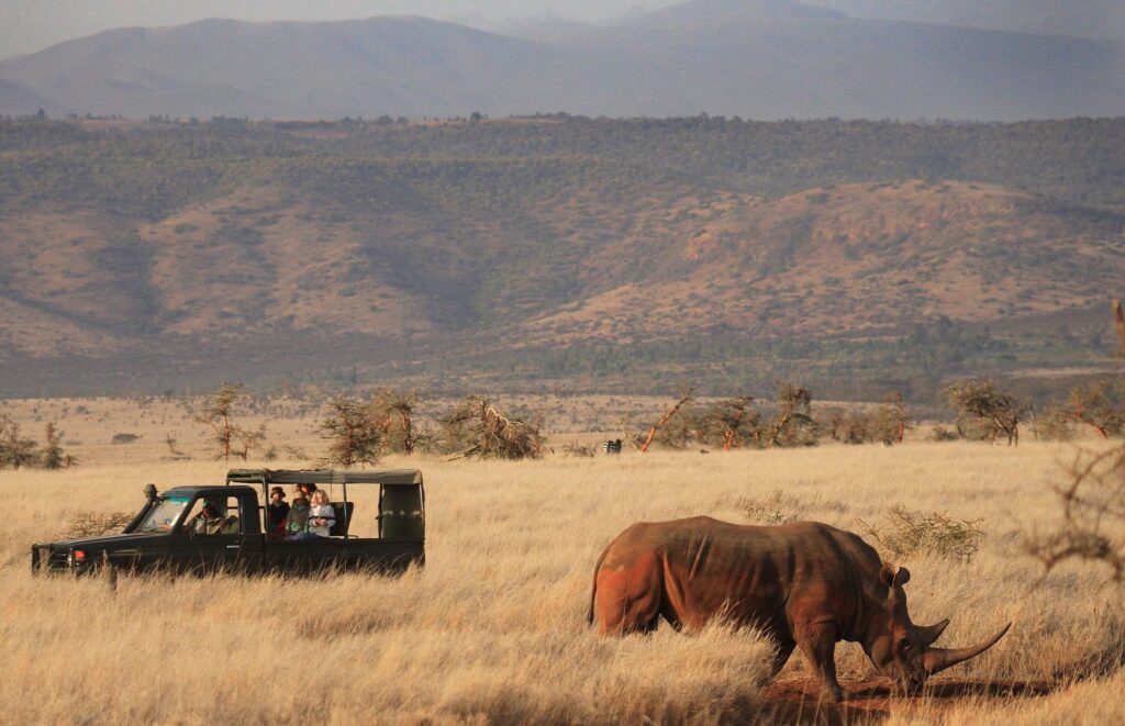 Lewa Wildlife Conservancy