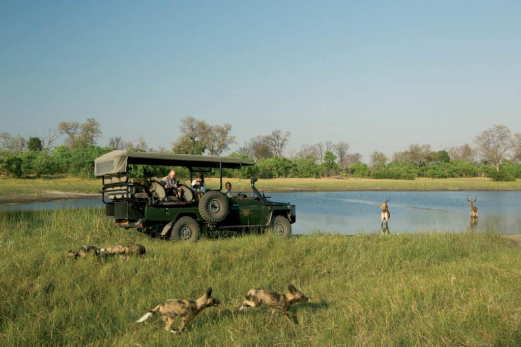Luxury Botswana Safari