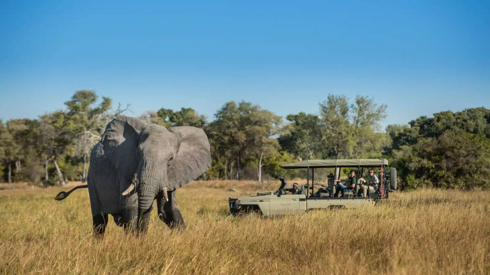 Luxury Botswana Safari: Delta to Desert