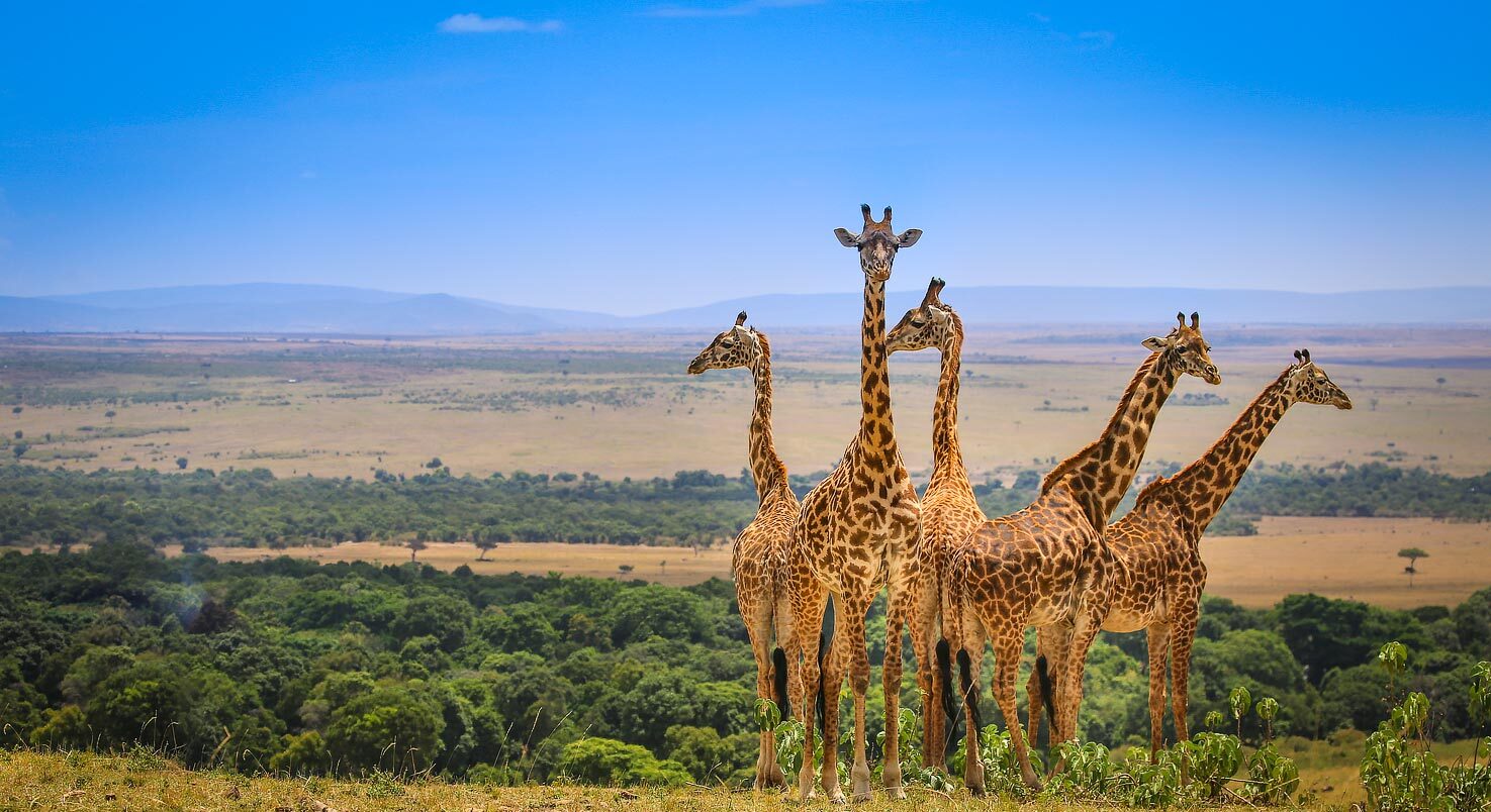 Days 8-10: The Masai Mara