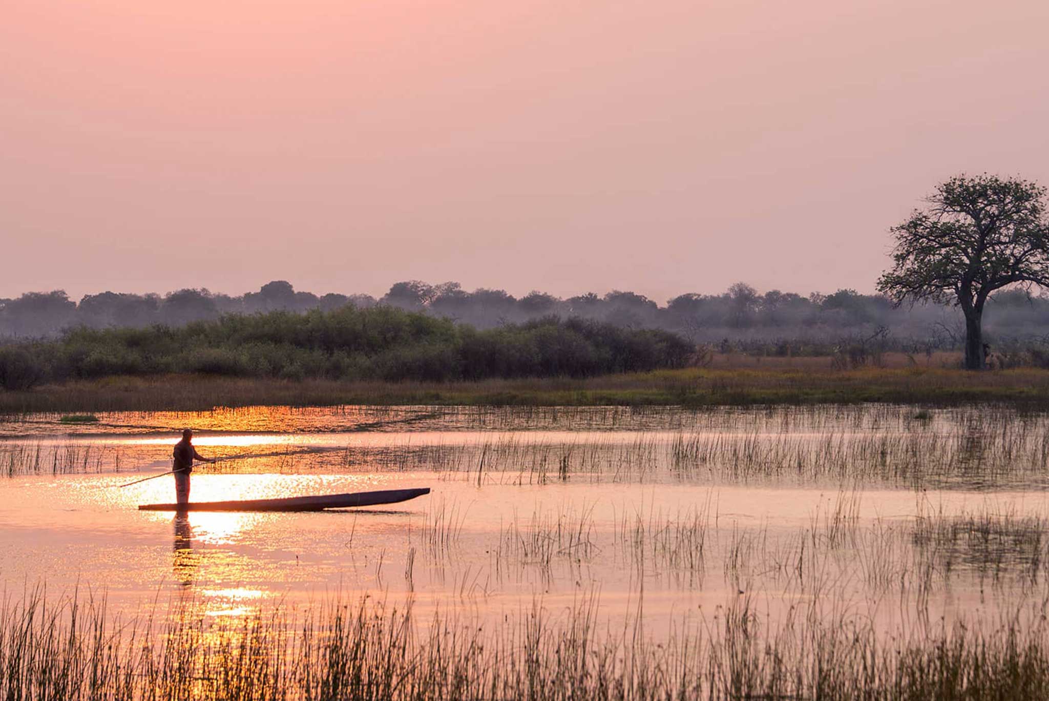 Mokoro Through the Okavango Delta