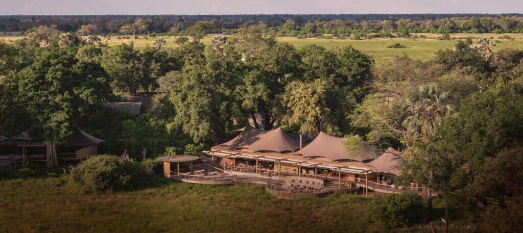 Wilderness Mombo Camp