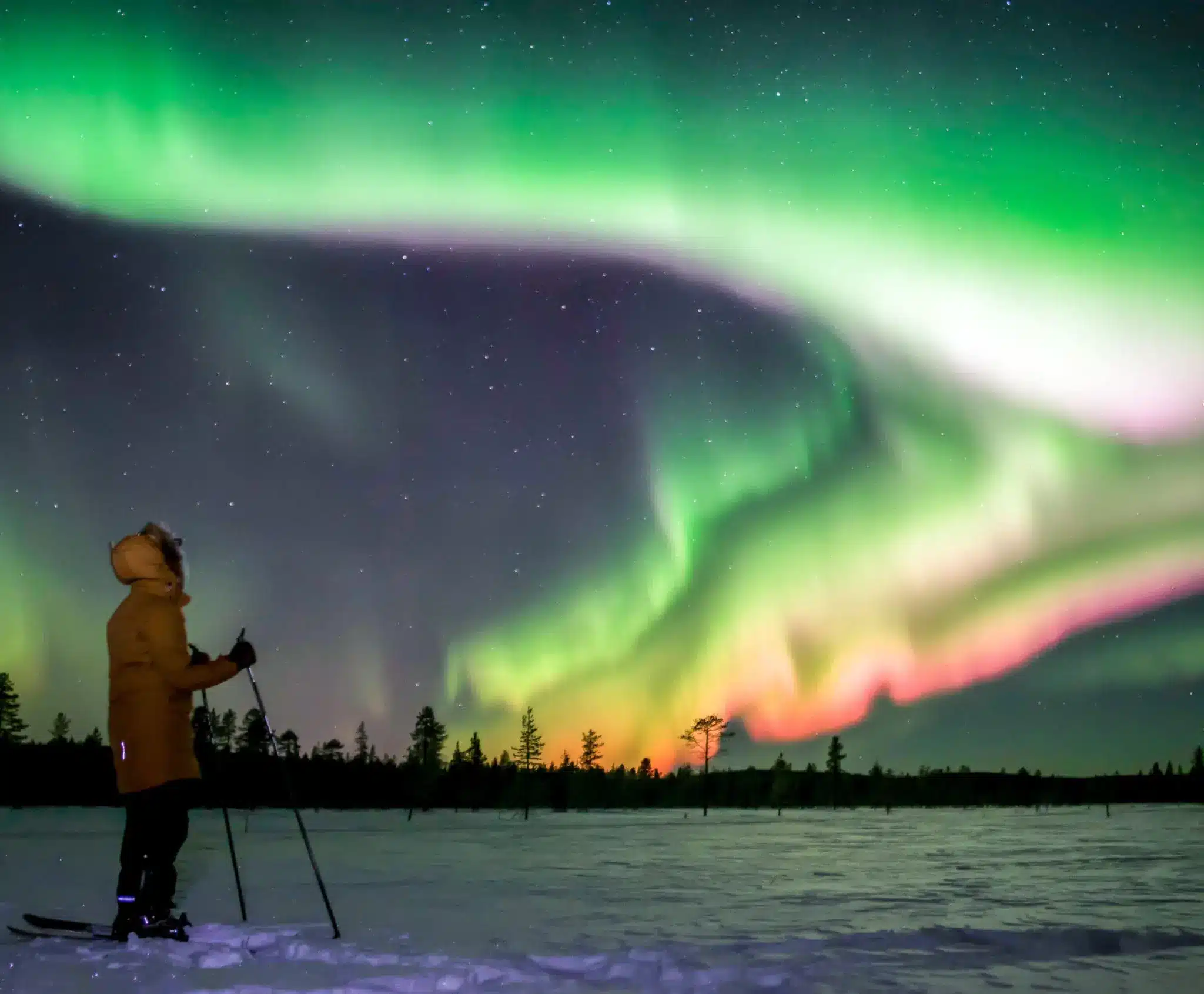 Why Nordic Wellness: Finland’s Sauna and Nature Retreat