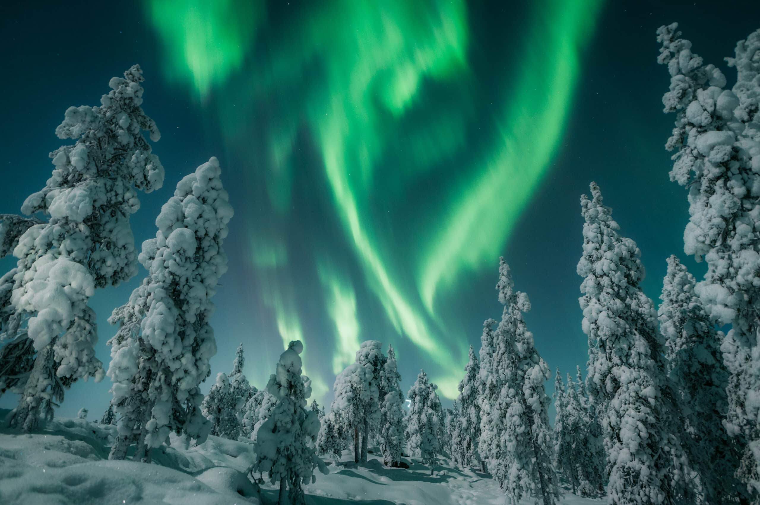 Nordic Wellness: Finland’s Sauna and Nature Retreat