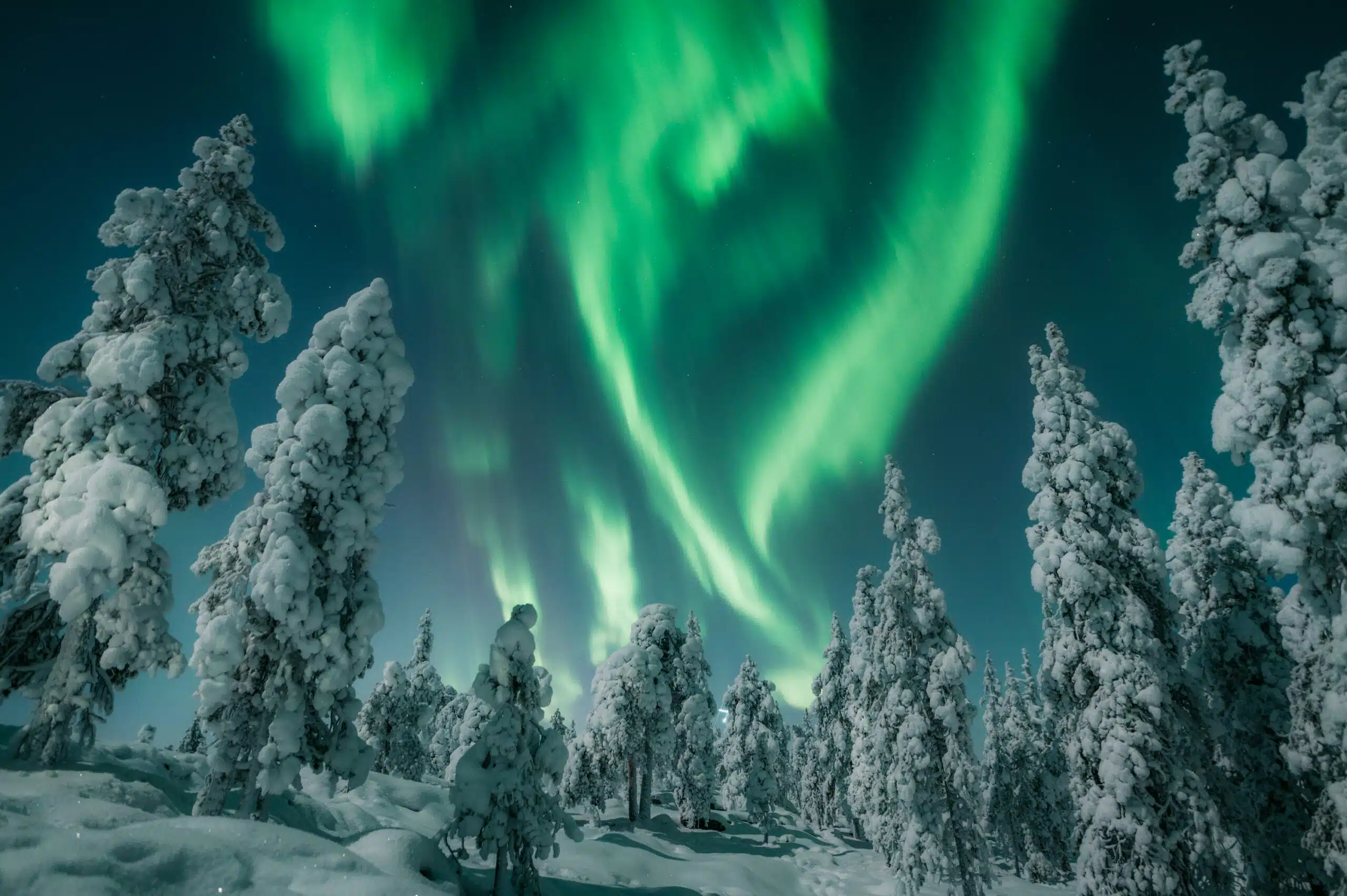 Nordic Wellness: Finland’s Sauna and Nature Retreat