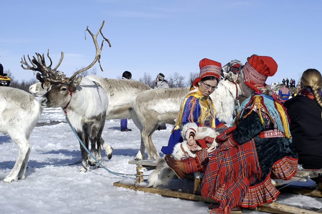 Reindeer Safari