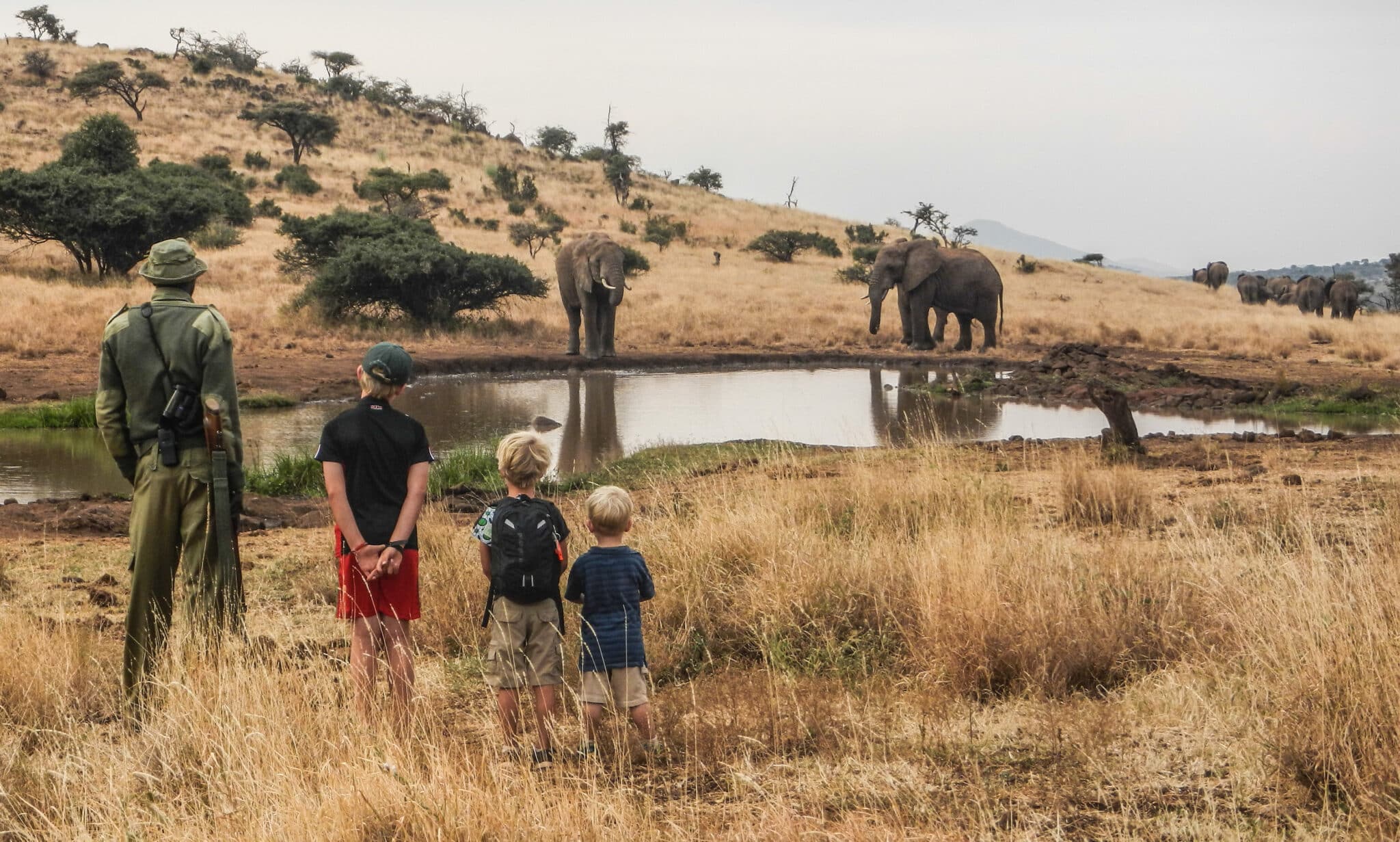 Rhino in Lewa Wildlife Conservancy