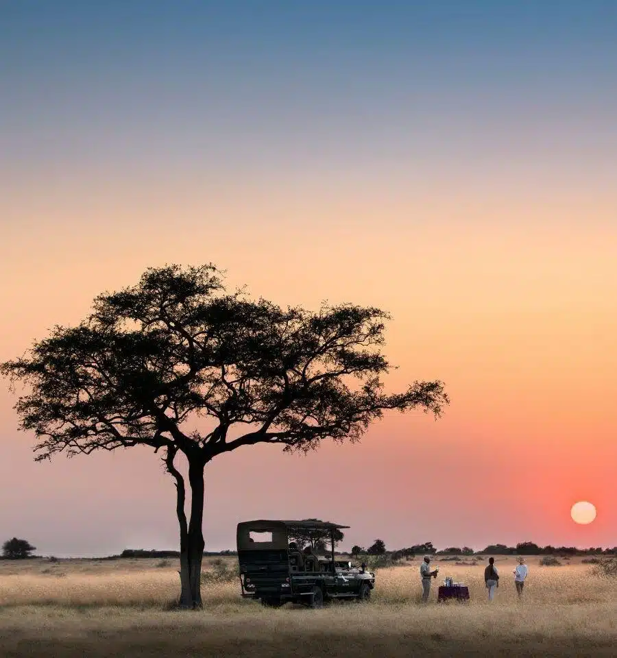 Why Serengeti & Zanzibar: Safari to Shore