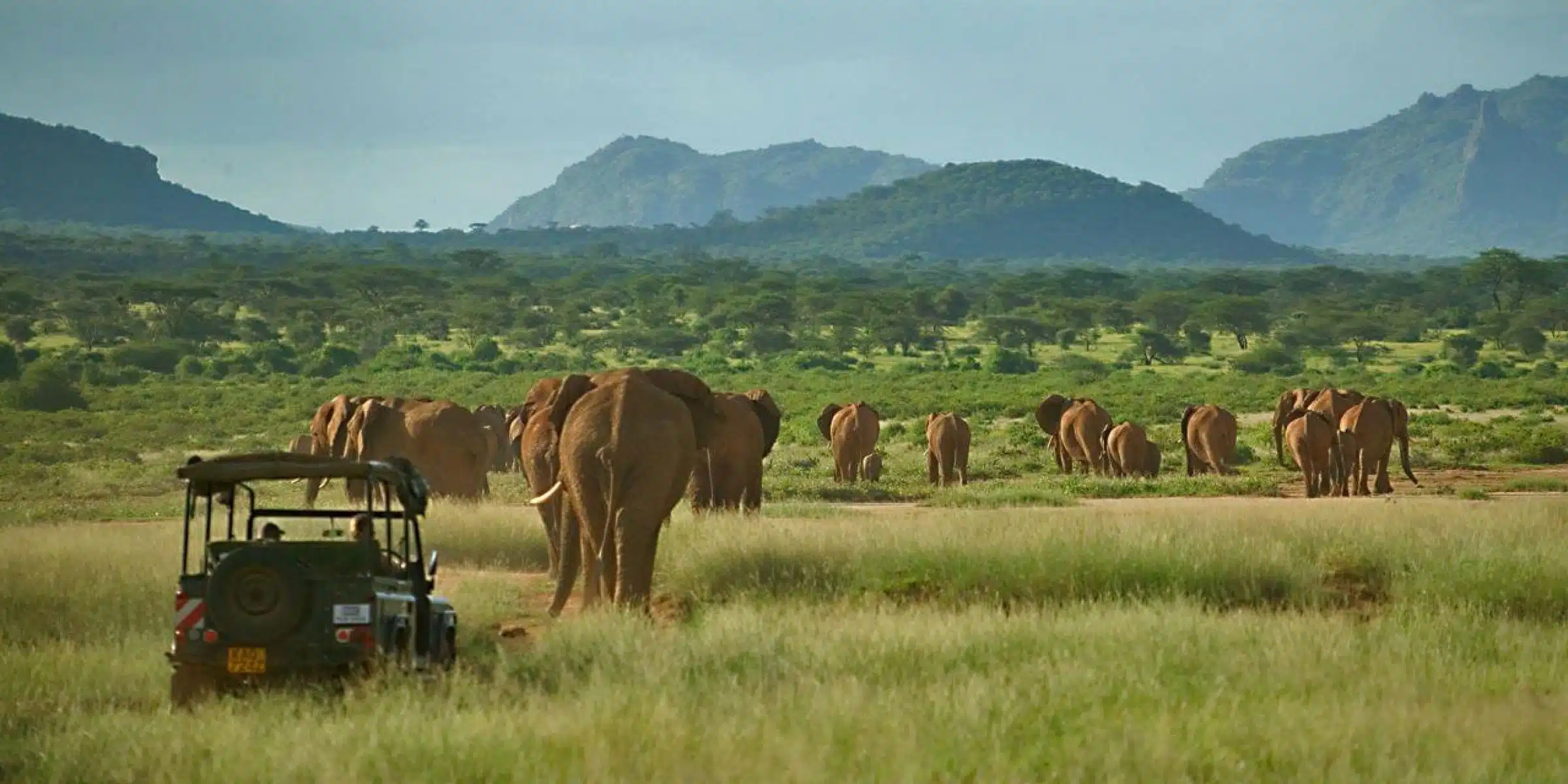 Luxury Kenya Safari: Northern Frontier to the Indian Ocean