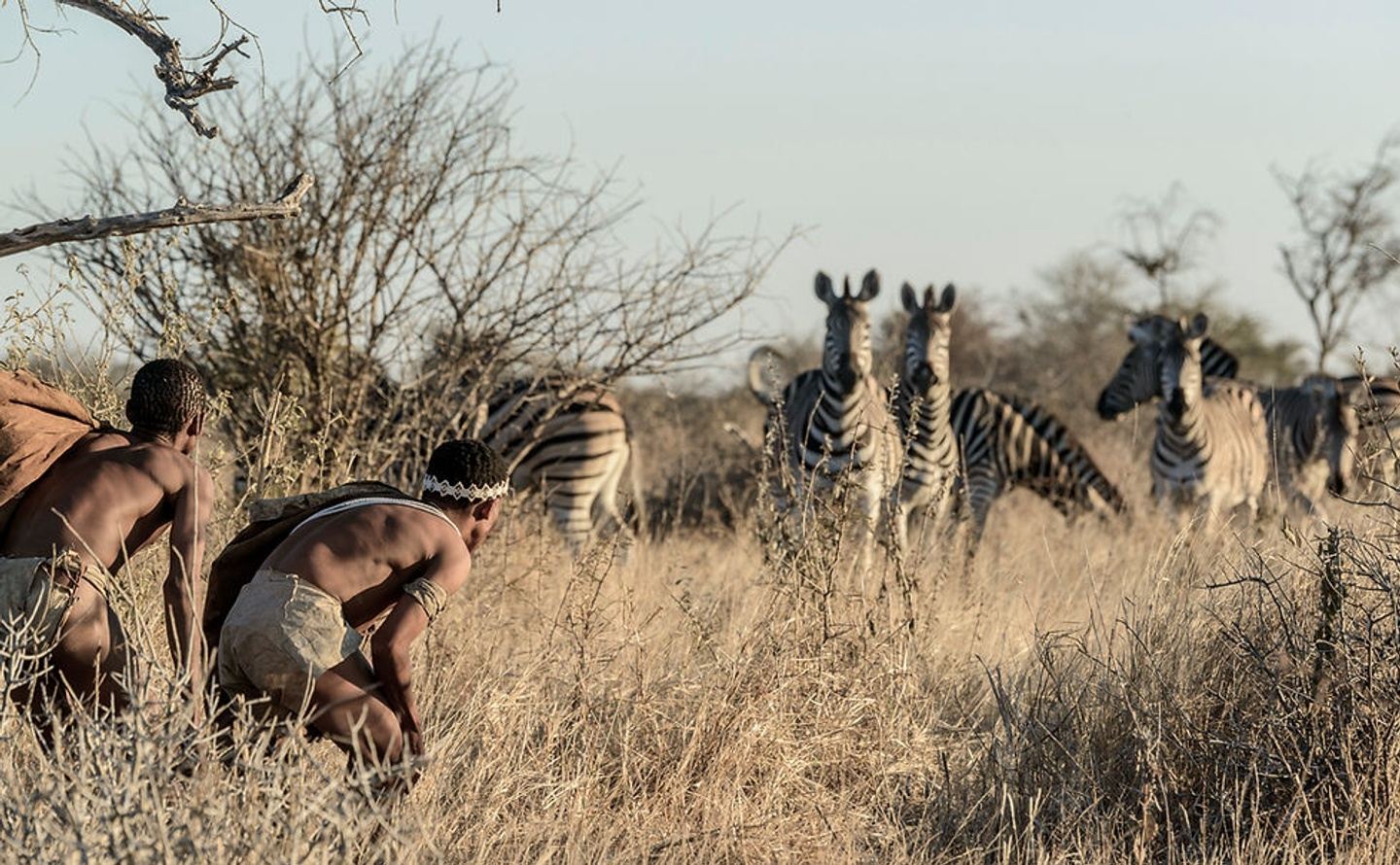 San in the Central Kalahari