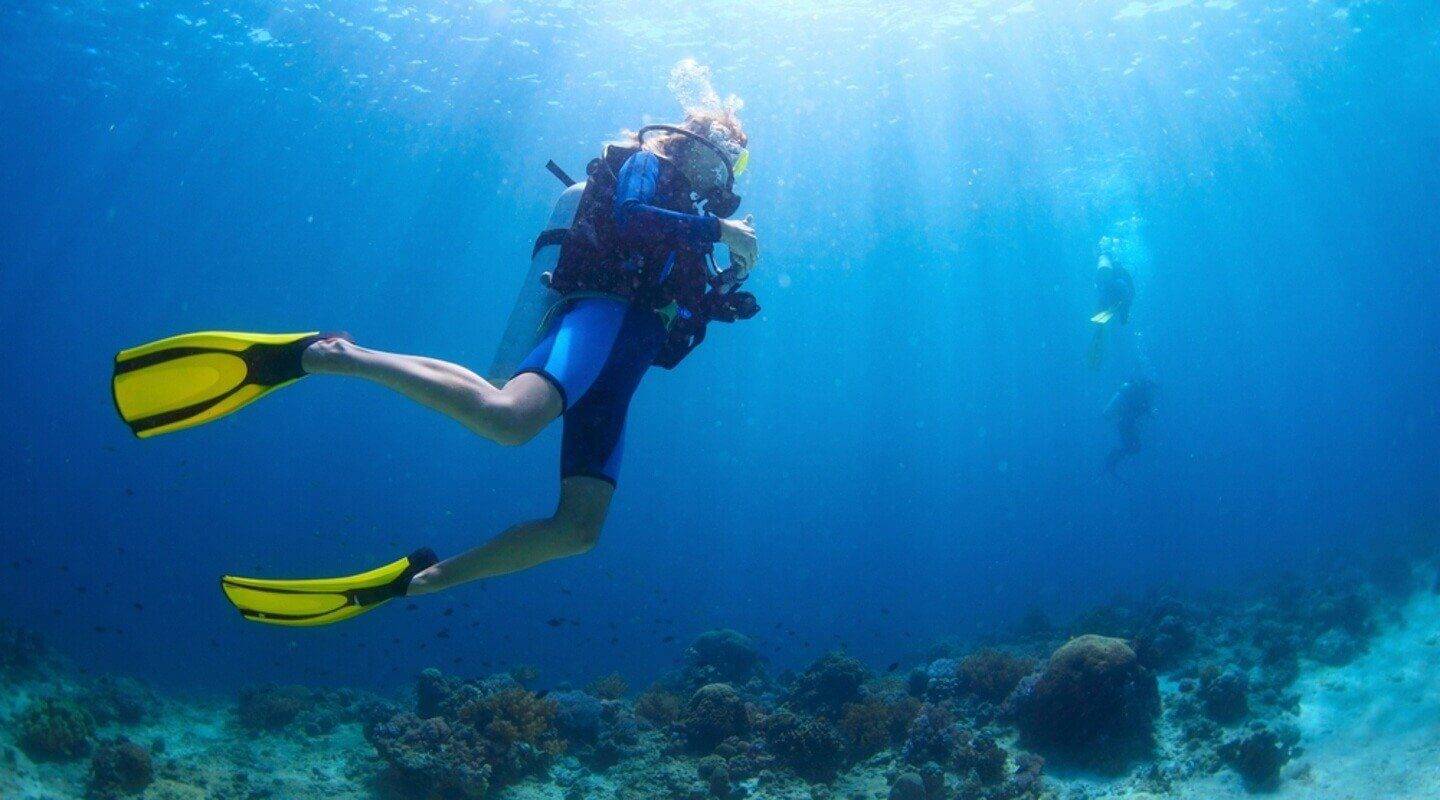 Scuba Diving at Pain de Sucre, St Barts