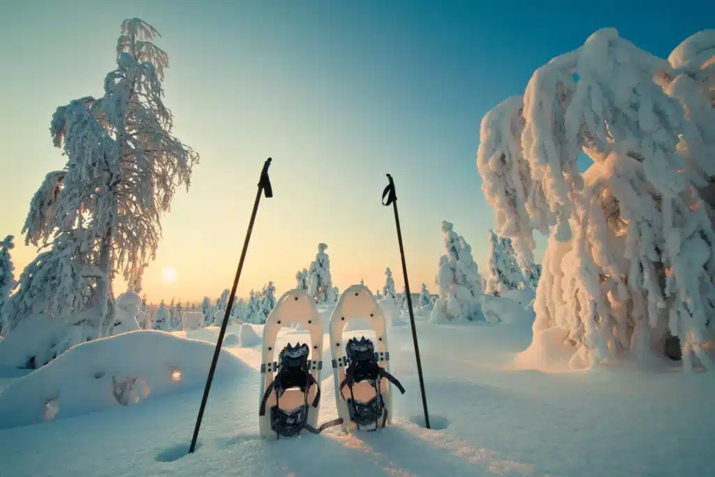 Snowshoe Hike