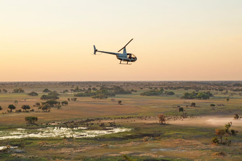 South Africa & Botswana Safari Adventure
