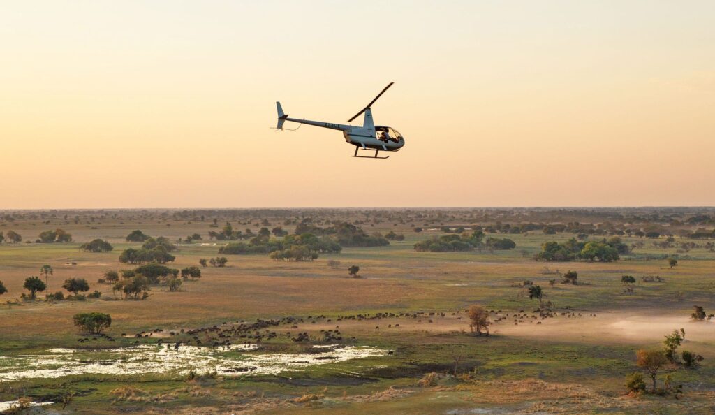 Botswana Safari Adventure
