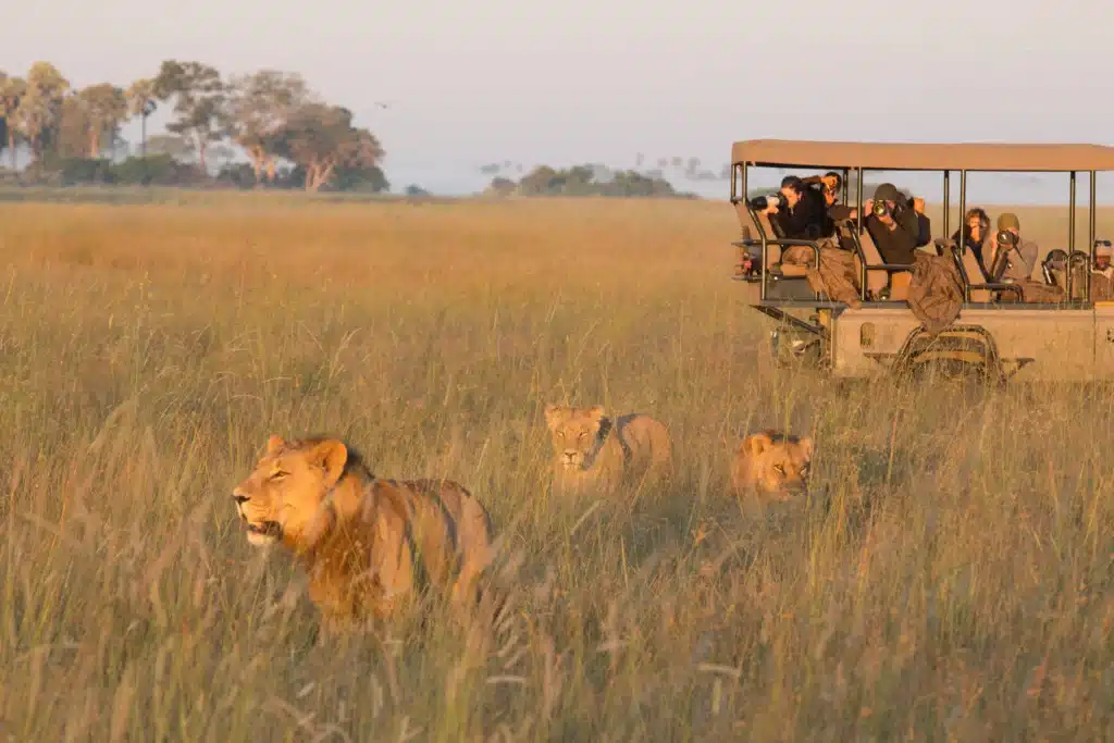 South Africa & Botswana Safari Adventure
