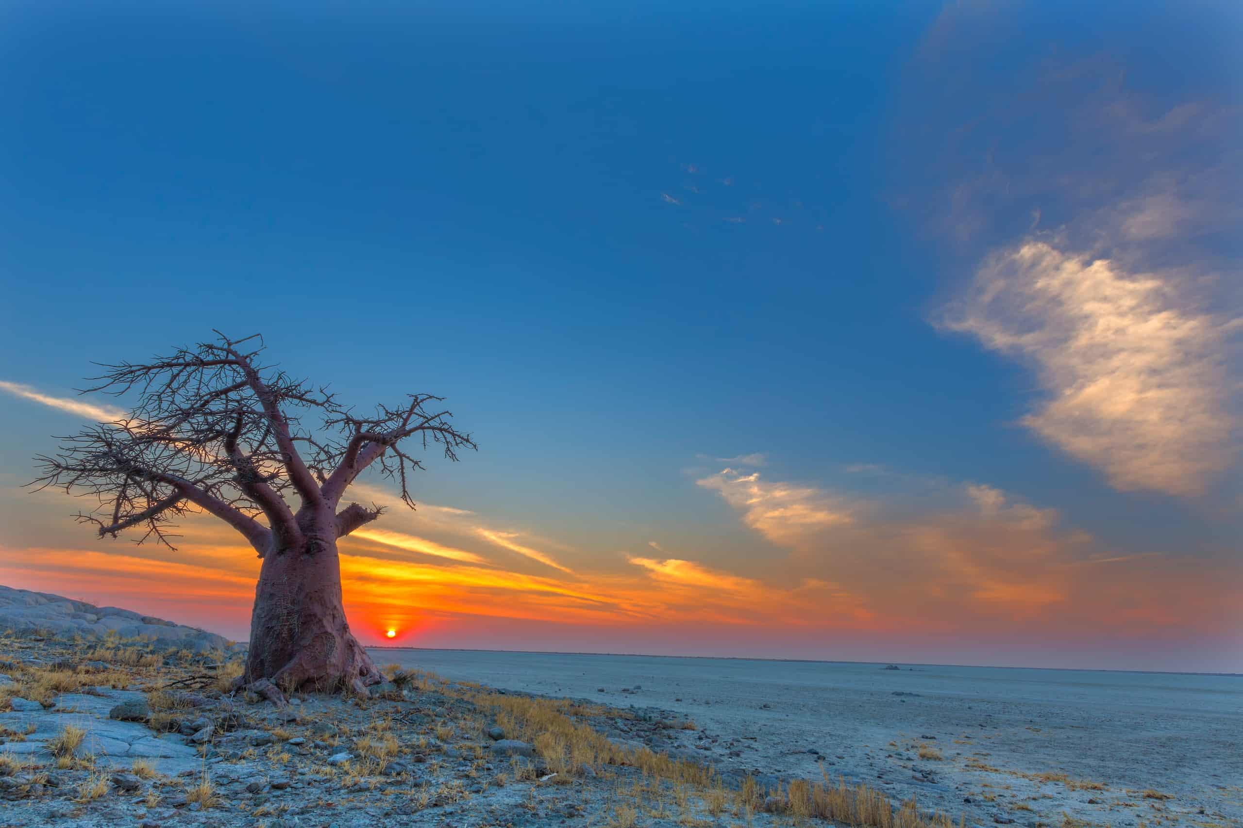 Sunset on the Makgadikgadi Salt Pans