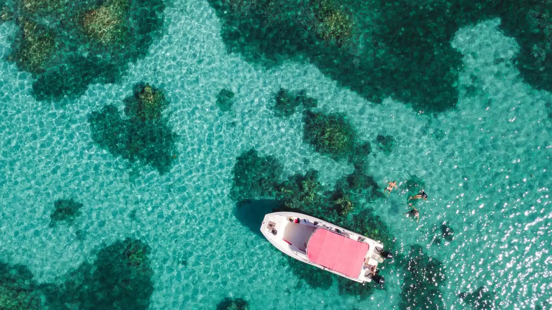 Swimming with Sea Turtles in St Barts