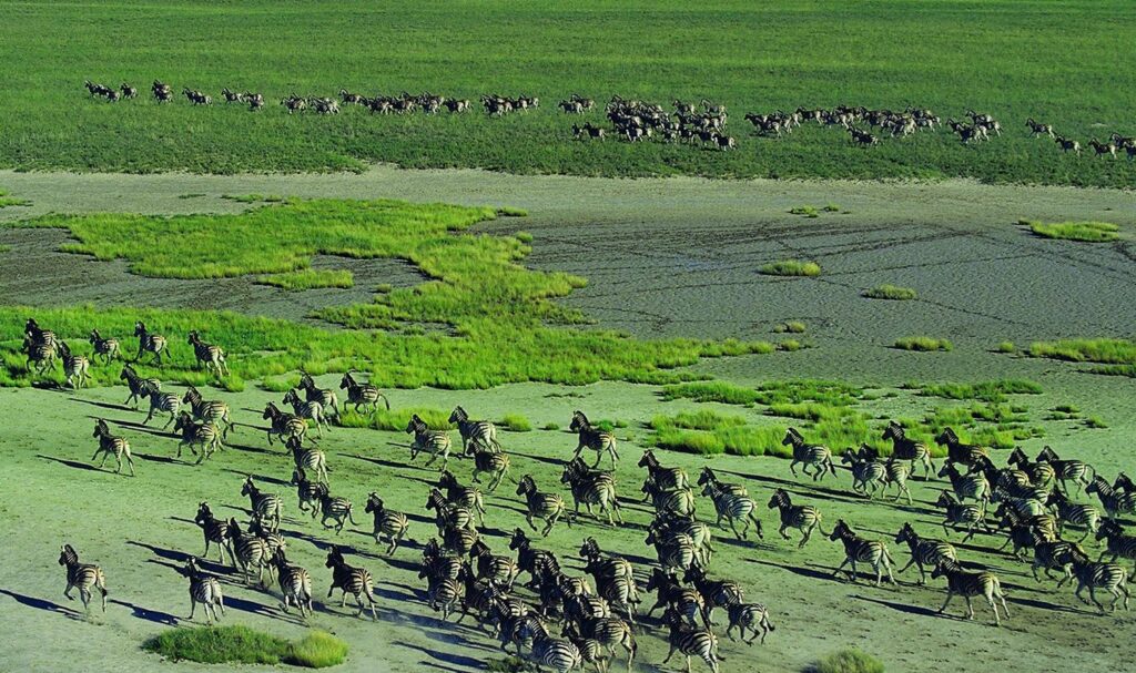 The Makgadikgadi Pans