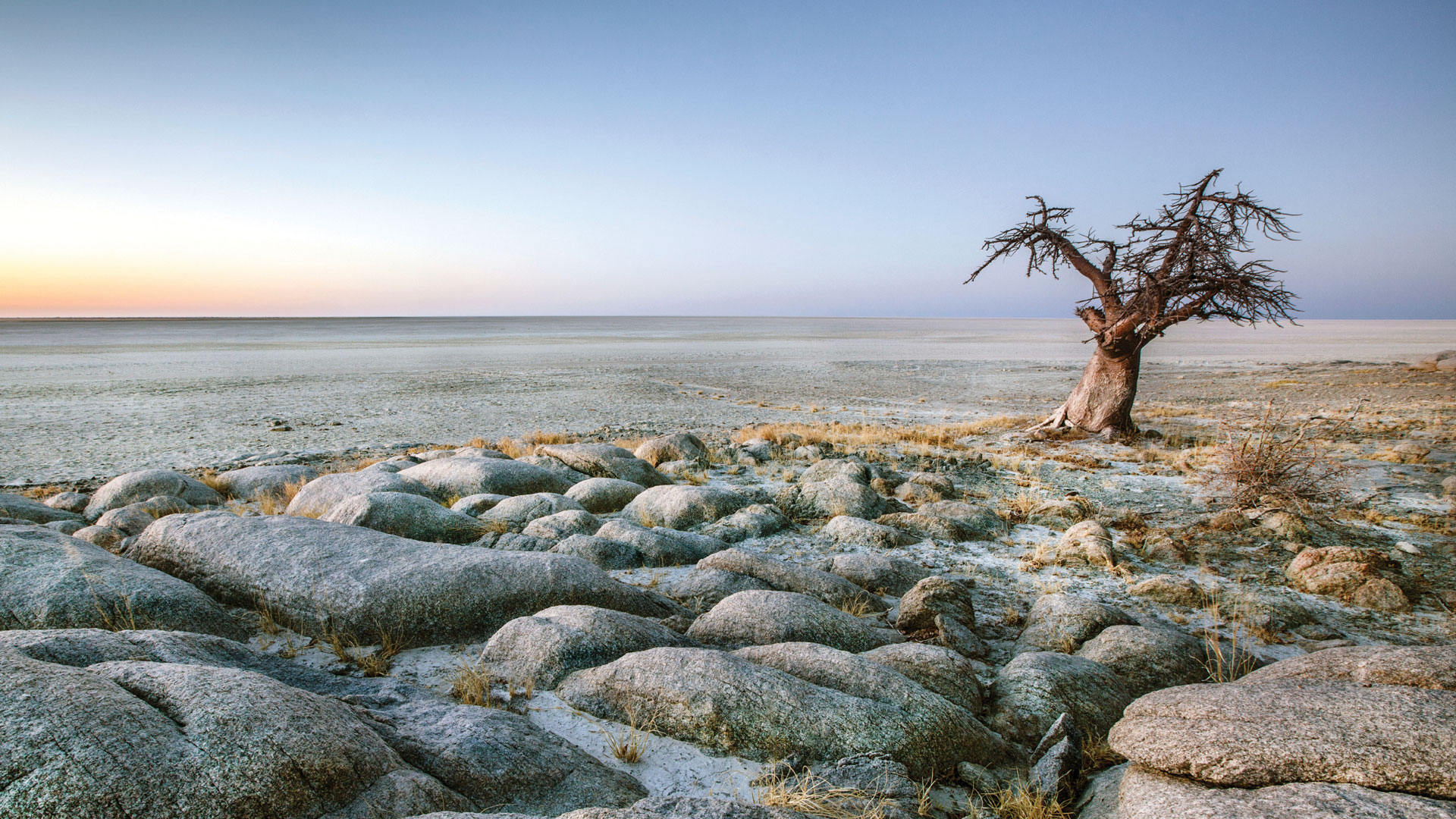 Day 7: The Makgadikgadi Pans