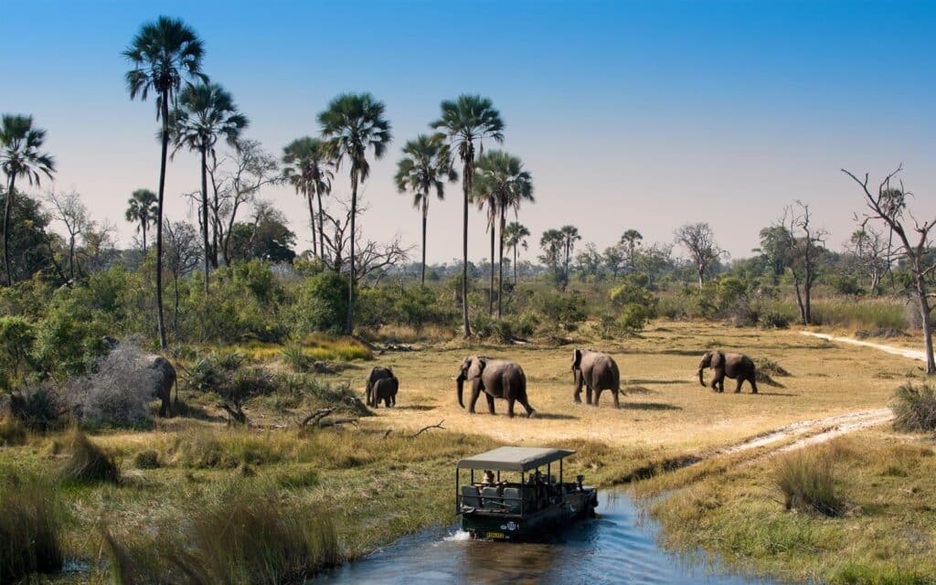The Okavango Delta