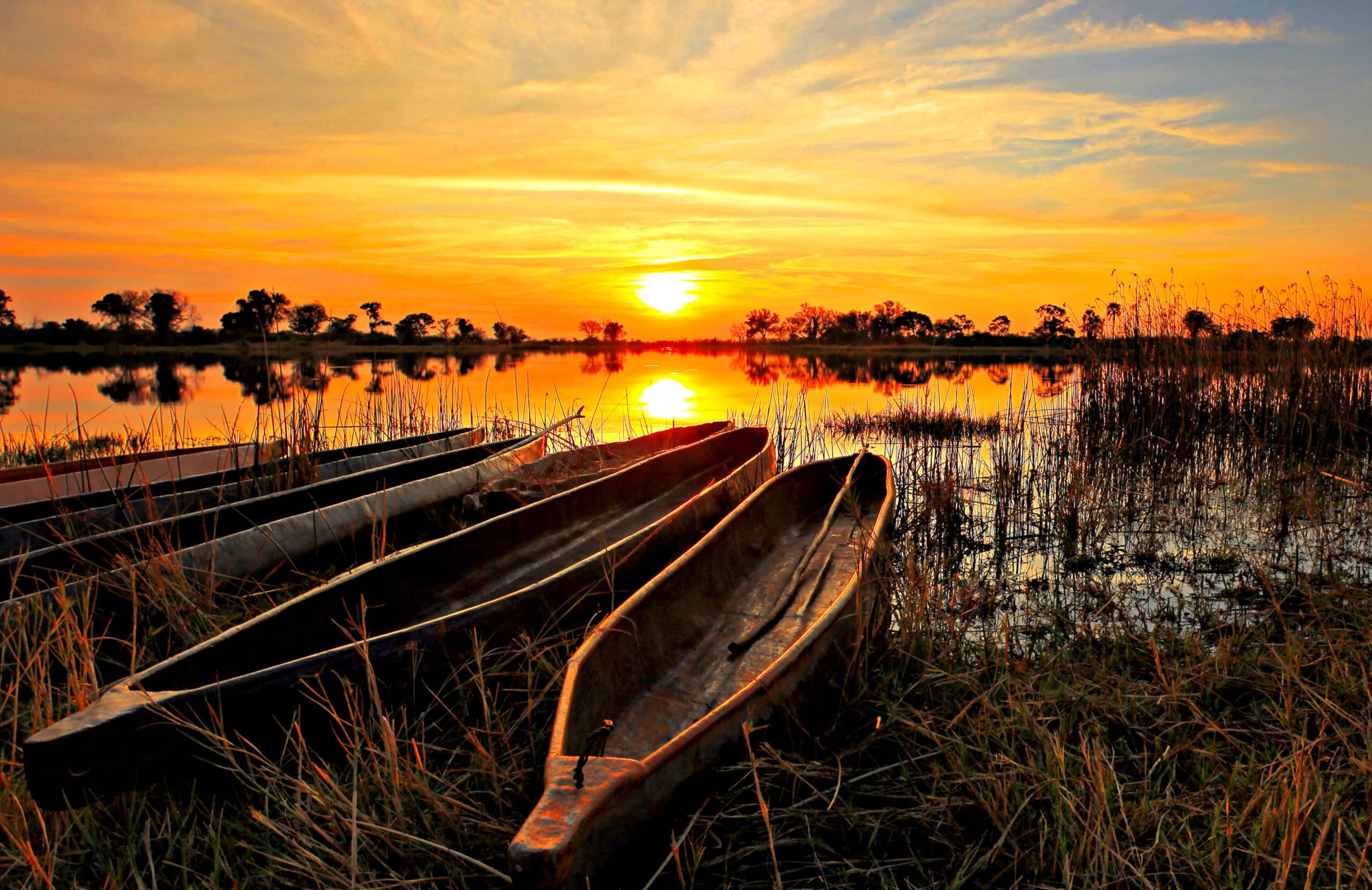 Days 10-11: The Okavango Delta, Central Delta
