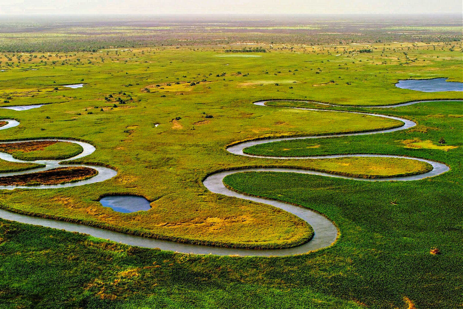 Mokoro Through the Okavango Delta