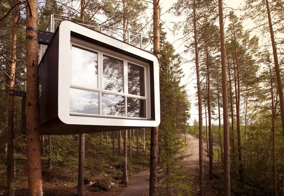 The Cabin