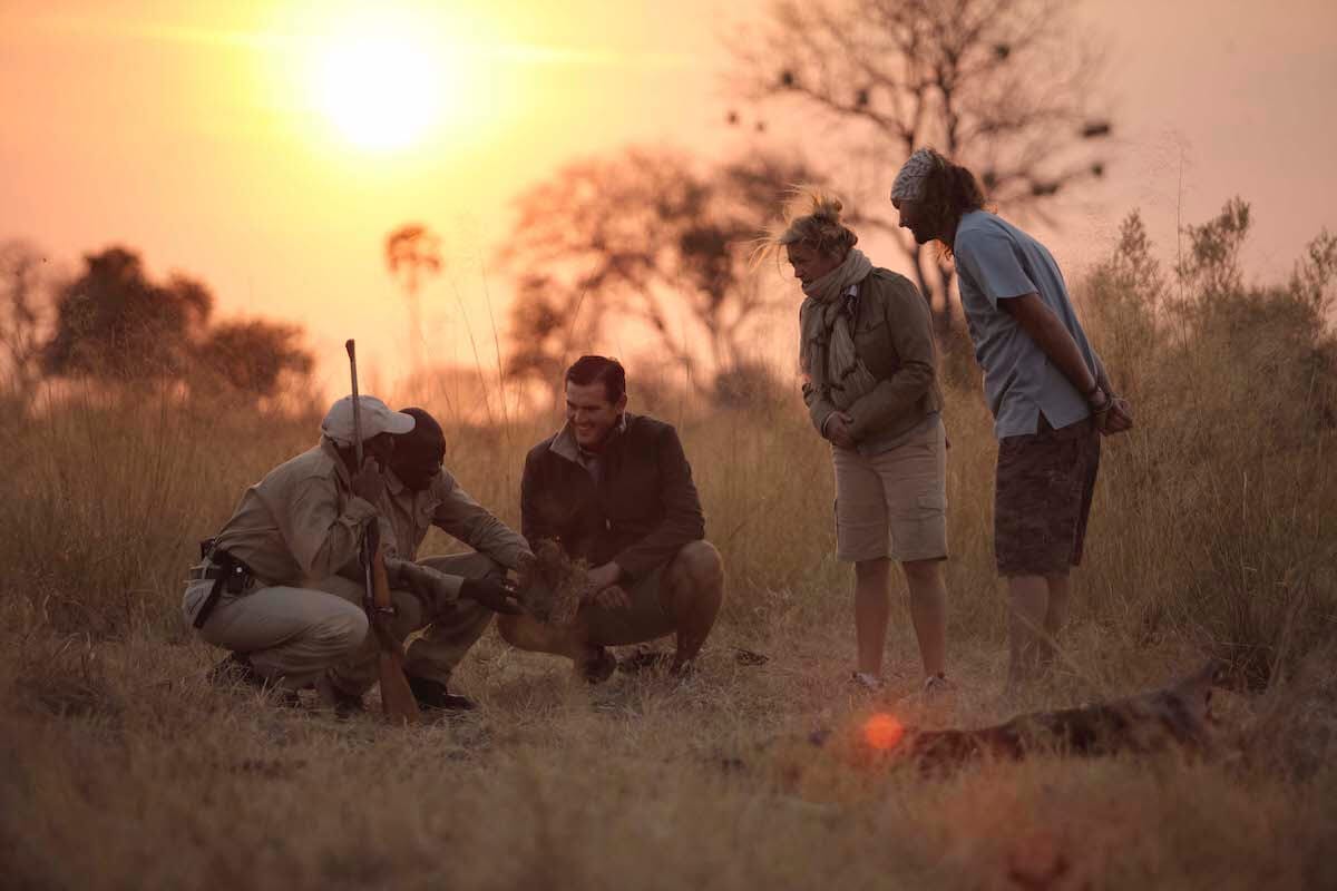 Walking Safari in the Tuli Block