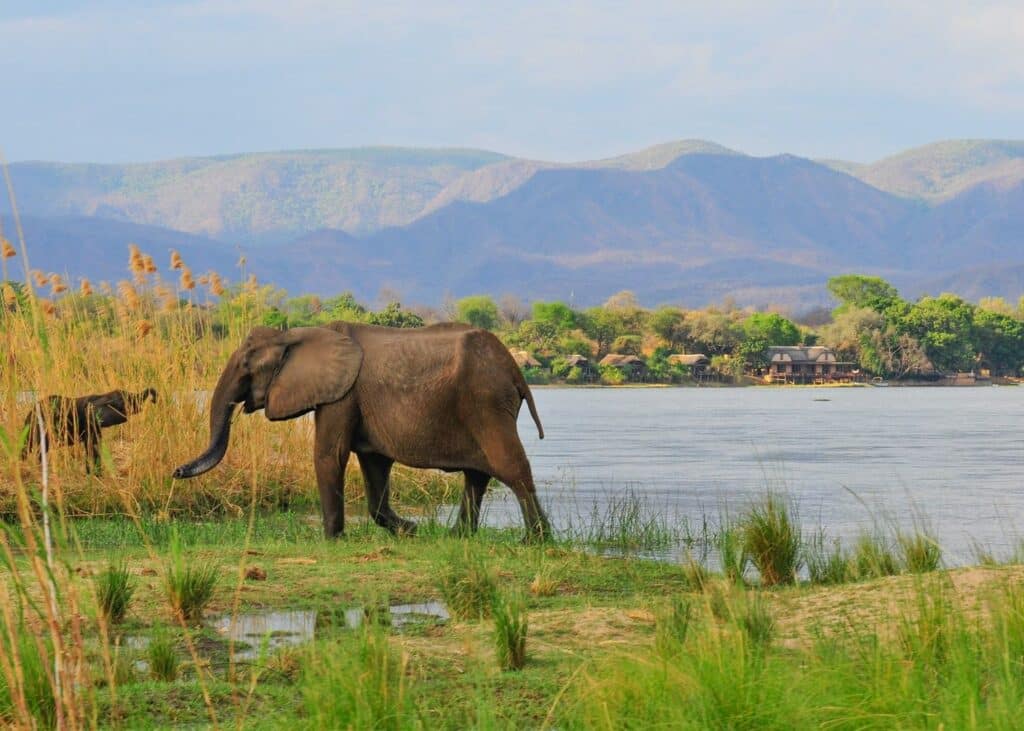 Zambezi National Park