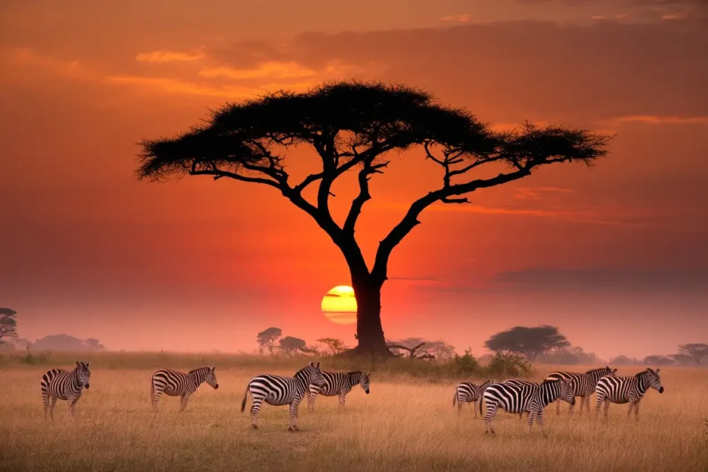 Honeymooners’ Tanzania