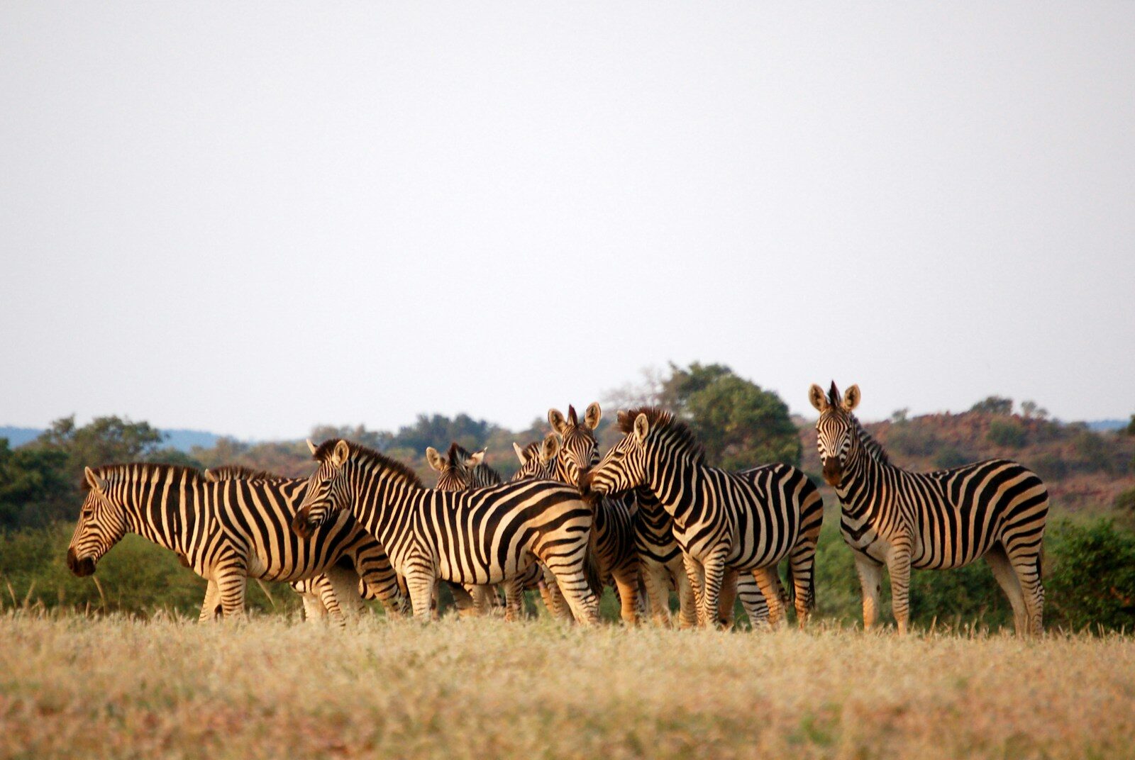 Botswana things to do