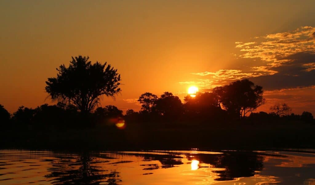 The Okavango Delta