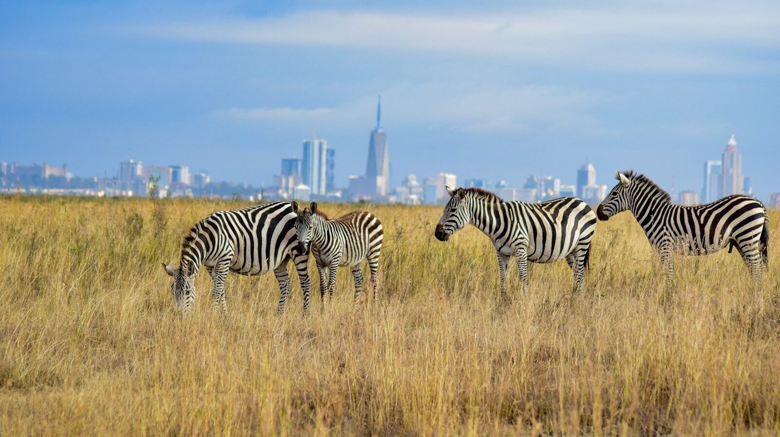 Day 1: Arrival in Nairobi