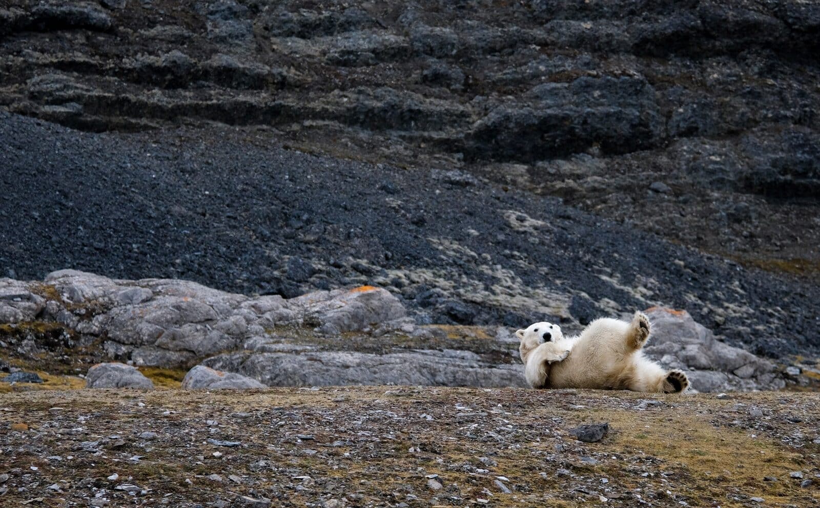 Svalbard - Norway