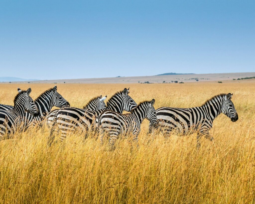 Chyulu Hills