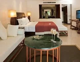 Senior Suite