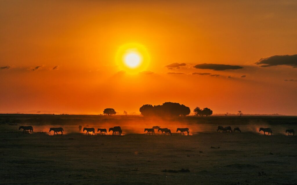 Samburu National Reserve