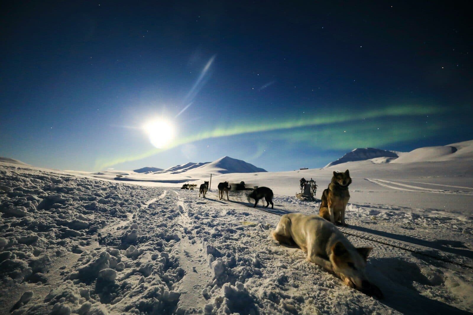 Svalbard